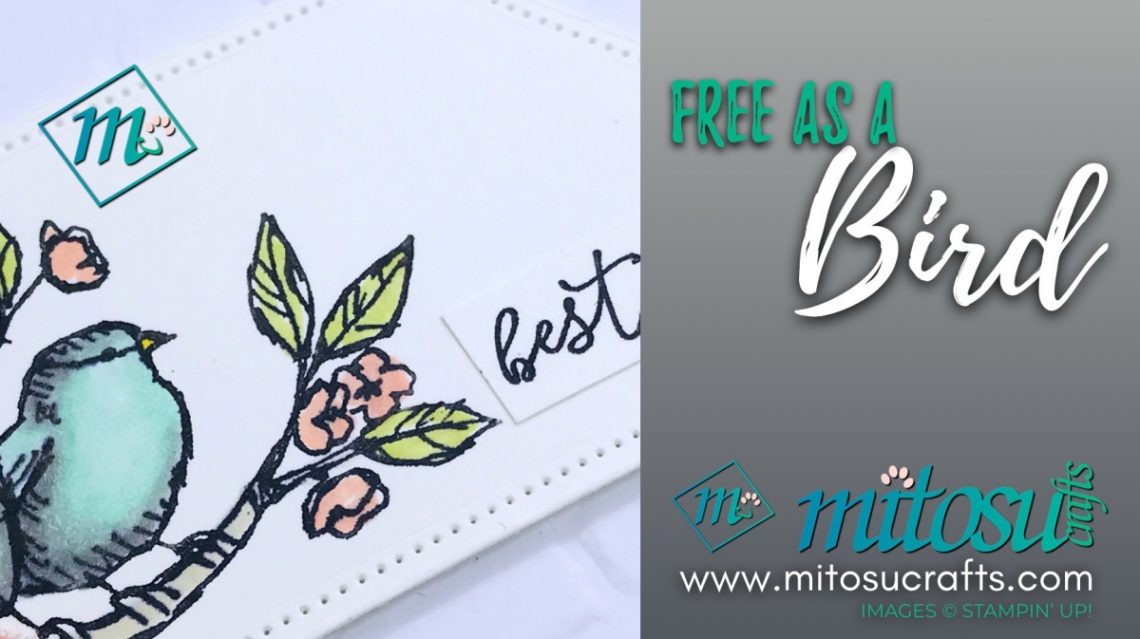 Free As A Bird Card Ideas for Stamp Review Crew from Mitosu Crafts
