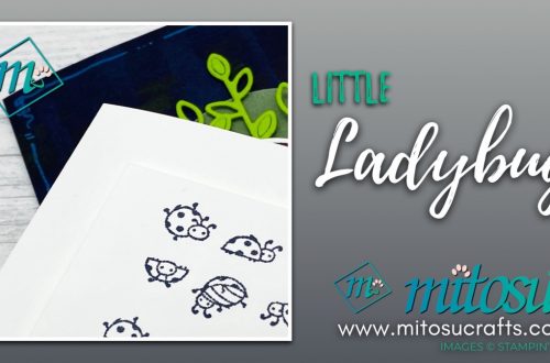 Little Ladybug Card Ideas for Stamp Review Crew from Mitosu Crafts