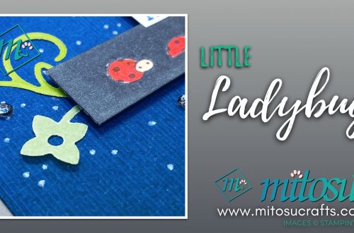 Little Ladybug Faux Black Card for Paper Craft Crew Challenge Inspiration. Order Stampin Up supplies from Mitosu Crafts UK, France, Germany, Austria or The Netherlands