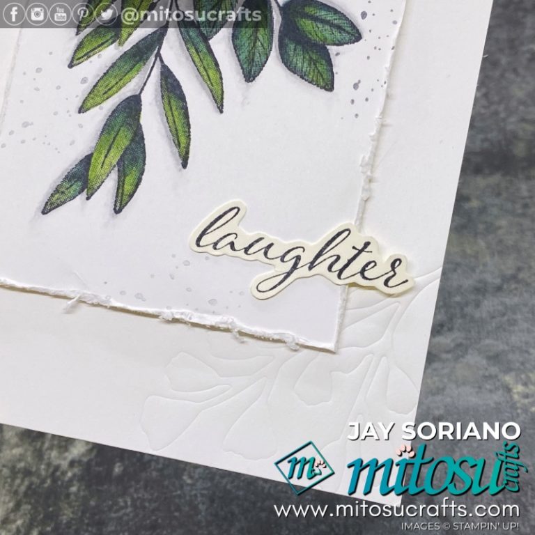 NEW Forever Fern Stamp Set by Stampin Up – Mitosu Crafts