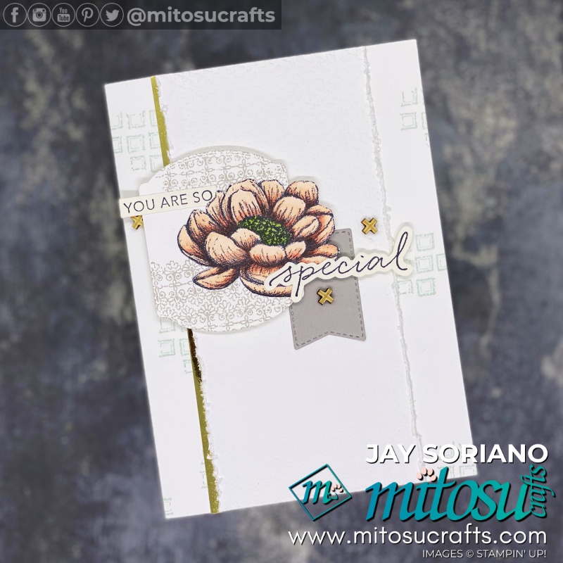 Tasteful Touches In Good Taste Card Idea by Jay Soriano Mitosu Crafts UK for Creating Kindness Hop