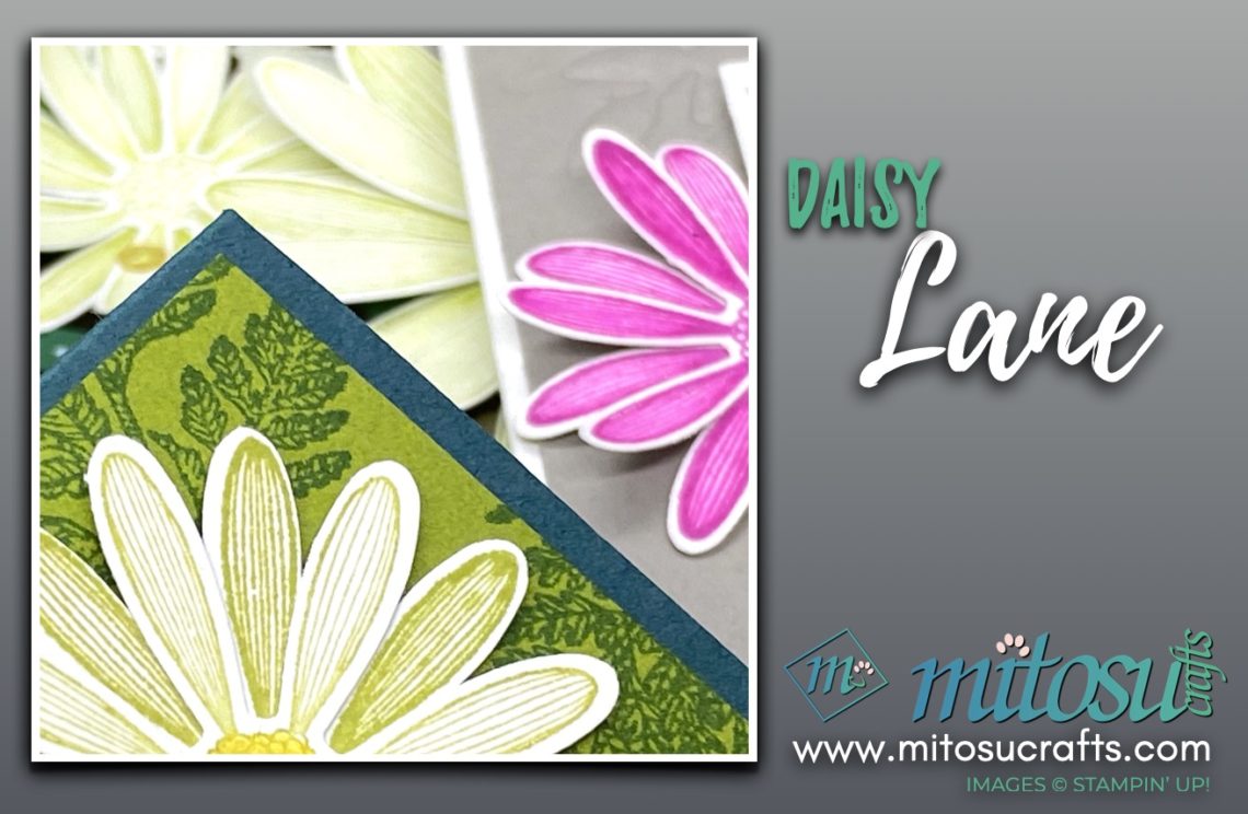 Stampin Up Daisy Lane Ideas by Jay Soriano | Mitosu Crafts UK