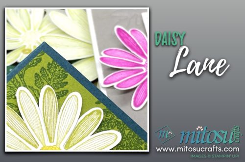 Stampin Up Daisy Lane Ideas by Jay Soriano | Mitosu Crafts UK