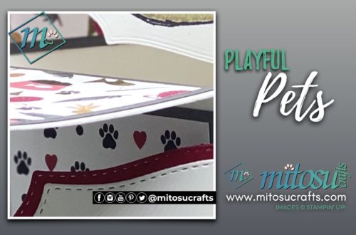 Stampin Up Playful Pampered Pets 3D Cube Pop Up Box Card Idea | Mitosu Crafts UK by Barry Selwood & Jay Soriano
