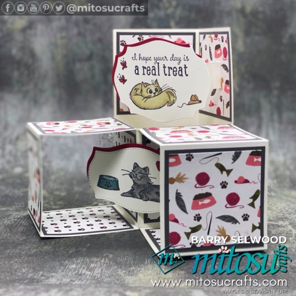 Playful Pampered Pets 3D Cube Pop Up Box Card – Mitosu Crafts
