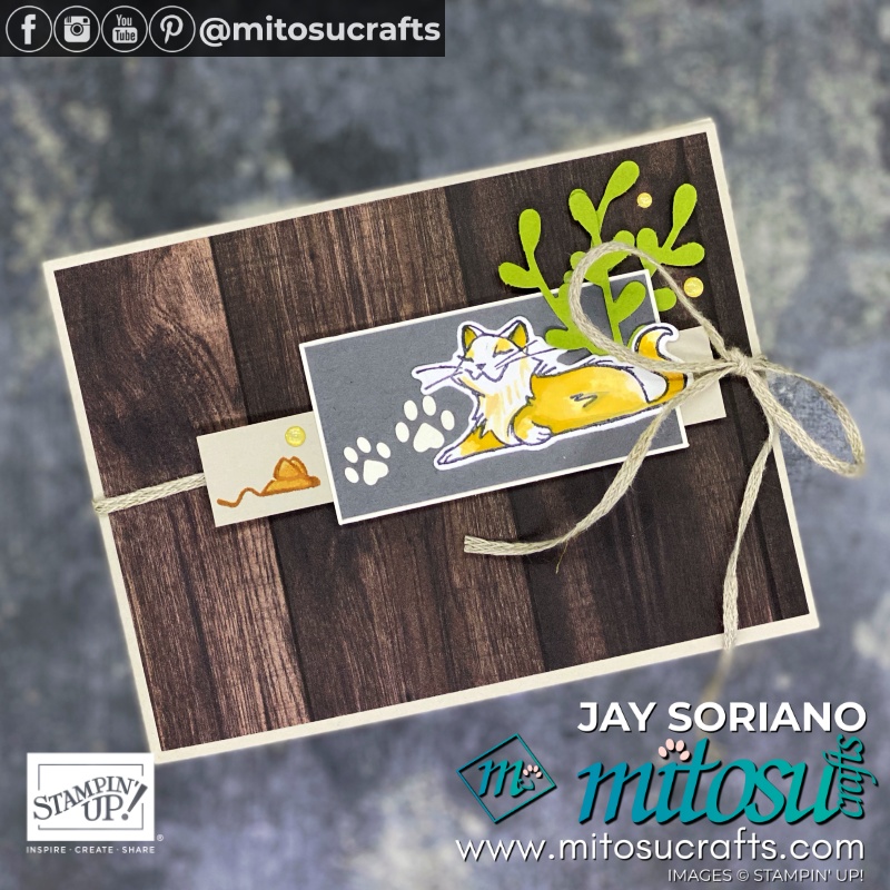 Stampin Up Double Planter Pop Up Card Idea with Pampered Pets and Small Bloom | Mitosu Crafts UK by Barry Selwood & Jay Soriano