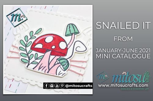 Stampin' Up! Snailed It Ledge Pop Up Card Idea with Youtube Video Tutorial from Mitosu Crafts UK by Barry & Jay Soriano