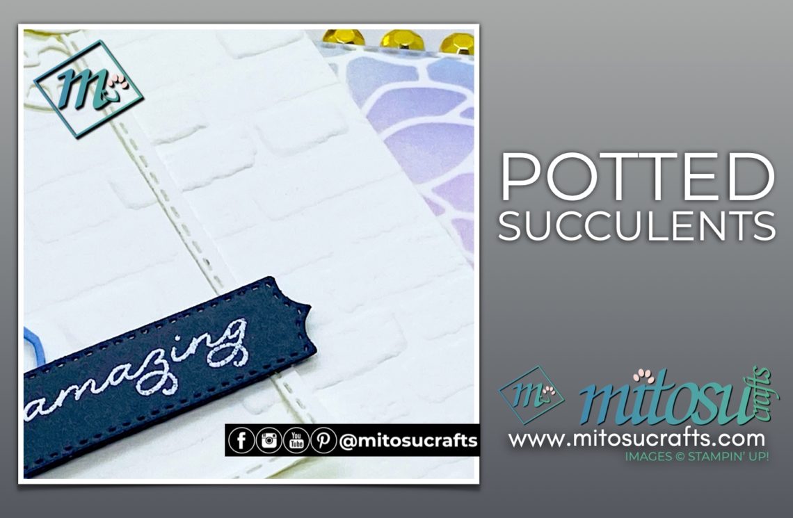 Stampin' Up! Potted Succulents Dies and Simply Succulents Bundle for Bruno & Kylie Bertucci Demo Training Blog Hop from Mitosu Crafts UK by Barry Selwood & Jay Soriano