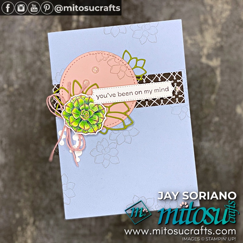Stampin' Up! Simply Succulents Bundle Card Ideas for The Gentlemen Crafters Design Team Blog Hop #tgcdt from Mitosu Crafts UK by Barry Selwood & Jay Soriano