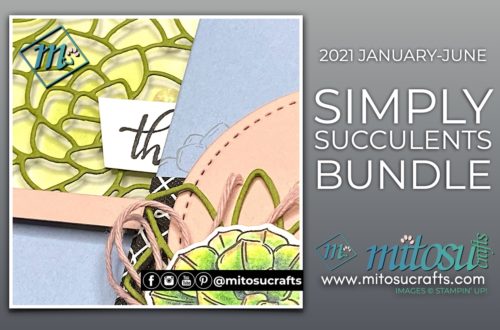 Stampin' Up! Simply Succulents Bundle Card Ideas for The Gentlemen Crafters Design Team Blog Hop #tgcdt from Mitosu Crafts UK by Barry Selwood & Jay Soriano