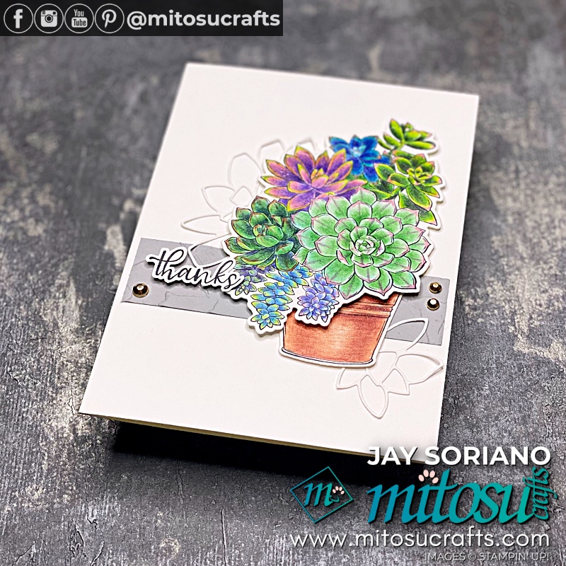 Stampin' Up! Simply Succulents Stamp Set and Potted Succulents Dies Card Idea for The Spot Creative Challenge from Mitosu Crafts UK by Barry Selwood & Jay Soriano