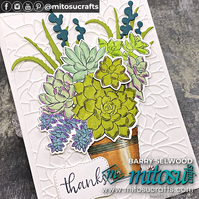 Stampin' Up! TNT Simply Succulents Card Ideas for TNT Design Team Blog Hop from Mitosu Crafts UK by Barry Selwood & Jay Soriano