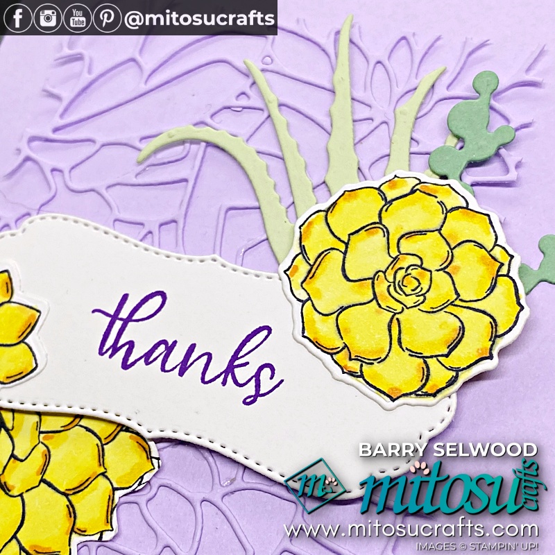 Stampin' Up! TNT Simply Succulents Card Ideas for TNT Design Team Blog Hop from Mitosu Crafts UK by Barry Selwood & Jay Soriano