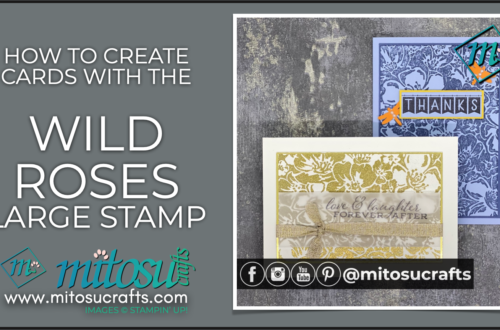 Elegant & Birthday Card ideas with the Wild Roses Stamp Set available from Barry & Jay Soriano Mitosu Crafts Independent Stampin Up Demonstrators UK