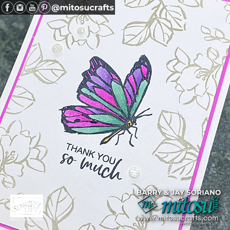 Sponge Dauber & Stampin Blends Colouring Technique with Barry & Jay Soriano from Mitosu Crafts Independent Stampin Up Demonstrators UK.
