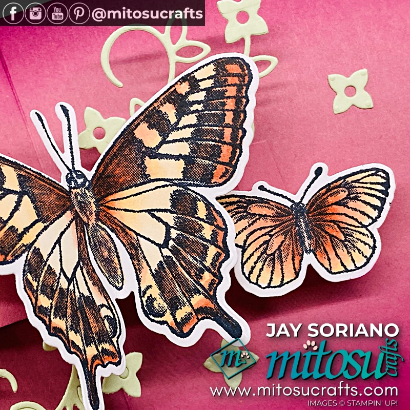 Welcome Pop Up Card with Butterfly Brilliance from Mitosu Crafts UK by Barry Selwood & Jay Soriano Independent Stampin' Up! Demonstrators
