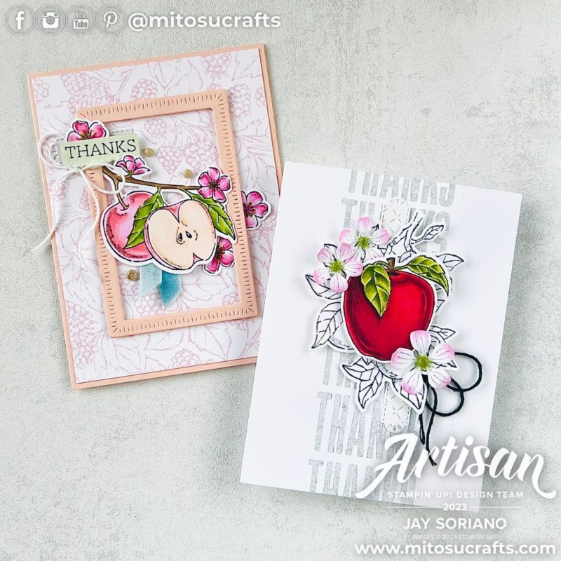 Berry Apple Harvest Biggest Wish Special Thank You Card Idea Stampin Blends Colouring from Mitosu Crafts by Barry & Jay Soriano Stampin' Up! UK France Germany Austria Netherlands Belgium Ireland