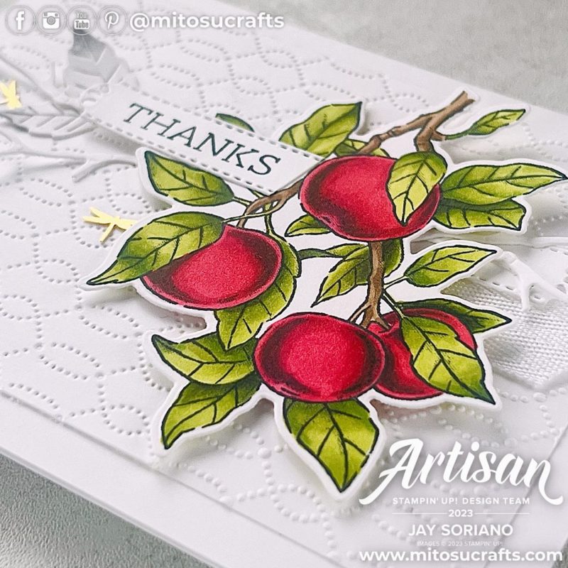 Apple Harvest Stampin Blends Colouring Thank You Card Idea from Mitosu Crafts by Barry & Jay Soriano Stampin' Up! UK France Germany Austria Netherlands Belgium Ireland