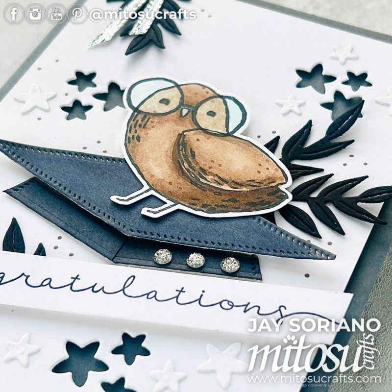 Birds Eye View Stampin Blends Colouring Congratulations Card Idea Mitosu Crafts by Barry & Jay Soriano Stampin' Up! UK France Germany Austria Netherlands Belgium Ireland