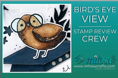 Birds Eye View Stampin Blends Colouring Congratulations Card Idea Mitosu Crafts by Barry & Jay Soriano Stampin' Up! UK France Germany Austria Netherlands Belgium Ireland