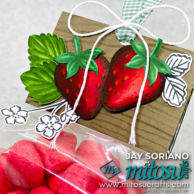 Candy Treat Bag with Sweet Strawberry Stamp from Mitosu Crafts UK by Barry & Jay Soriano Stampin' Up! Demonstrators