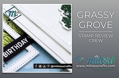 Card Ideas with Grassy Grove Stamp from Mitosu Crafts by Barry Selwood & Jay Soriano Stampin' Up! Demonstrators UK France Germany Austria & The Netherlands