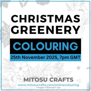 Christmas Greenery Virtual Online Colouring Class Barry & Jay Soriano Mitosu Crafts Stampin Up UK