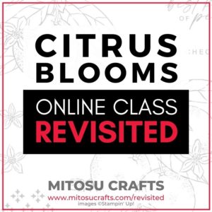 Citrus Blooms Card Making Online Class Revisited Mitosu Crafts Barry & Jay Soriano Stampin' Up! UK