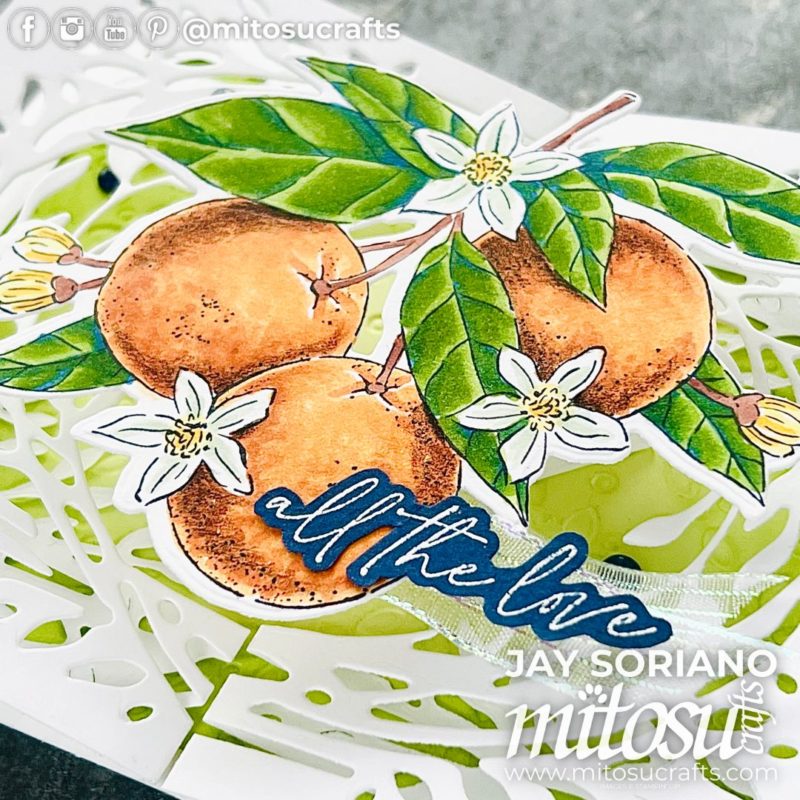 Citrus Blooms Oranges Stampin Blends Colouring Card Idea Mitosu Crafts by Barry & Jay Soriano Stampin' Up! UK France Germany Austria Netherlands Belgium Ireland