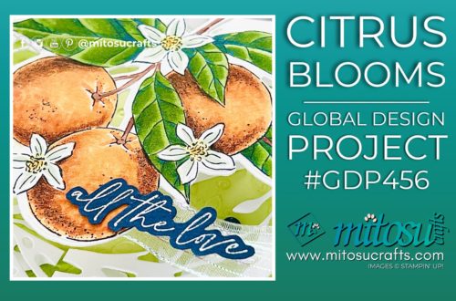 Citrus Blooms Oranges Stampin Blends Colouring Card Idea Mitosu Crafts by Barry & Jay Soriano Stampin' Up! UK France Germany Austria Netherlands Belgium Ireland