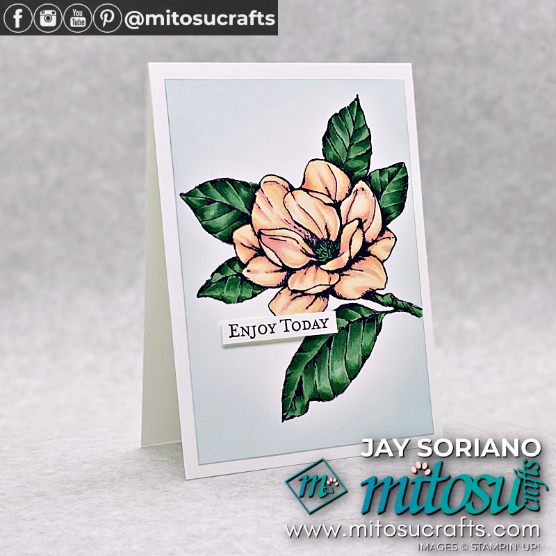 Colouring Good Morning Magnolia in Stampin Blends and Blending Brushes from Mitosu Crafts UK by Barry Selwood & Jay Soriano Independent Stampin' Up! Demonstrators