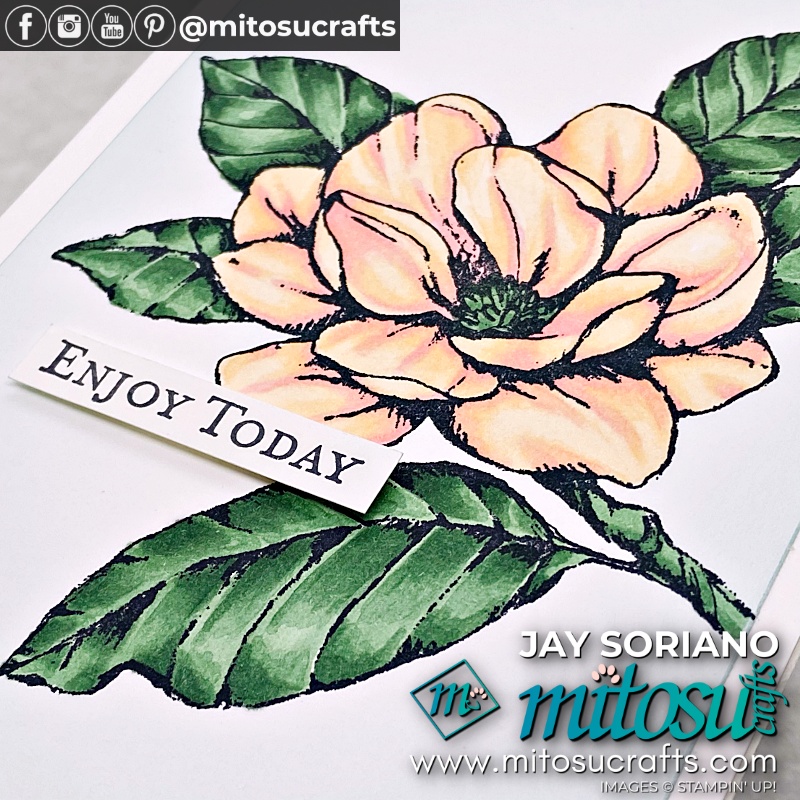 Colouring Good Morning Magnolia in Stampin Blends and Blending Brushes from Mitosu Crafts UK by Barry Selwood & Jay Soriano Independent Stampin' Up! Demonstrators