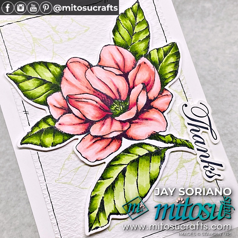 Colouring Good Morning Magnolia in Stampin Blends from Mitosu Crafts UK by Barry Selwood & Jay Soriano Independent Stampin' Up! Demonstrators