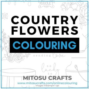 Country Flowers Online Colouring Masterclass with Jay Soriano Mitosu Crafts UK Stampin' Up!