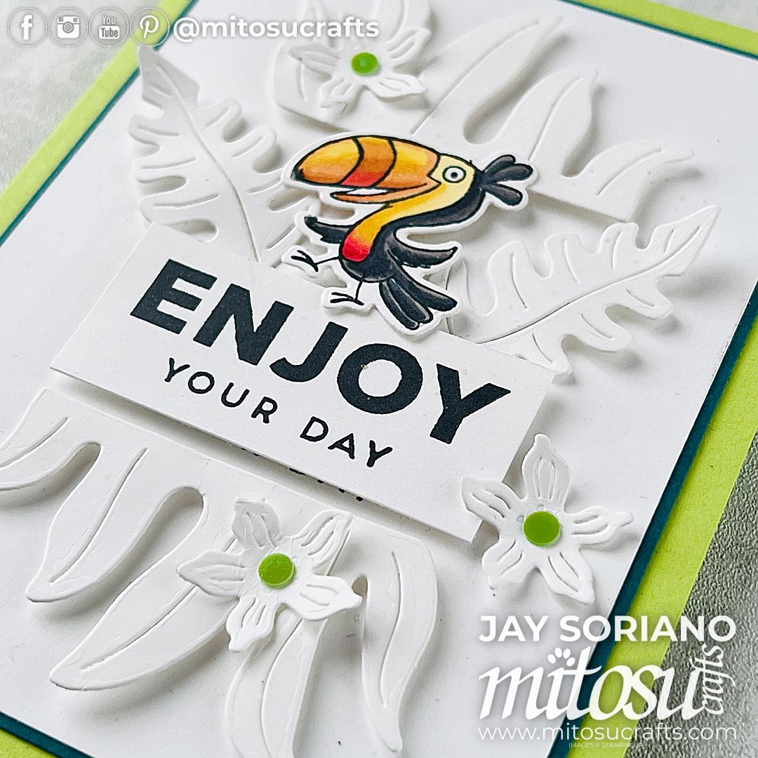 Enjoy Marvelous Jungle Pals Cards SAB24 - Mitosu Crafts