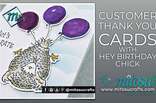 Sky Scene customer Thank you Card with Hey Birthday Chick with Barry and Jay Soriano Mitosu Crafts UK