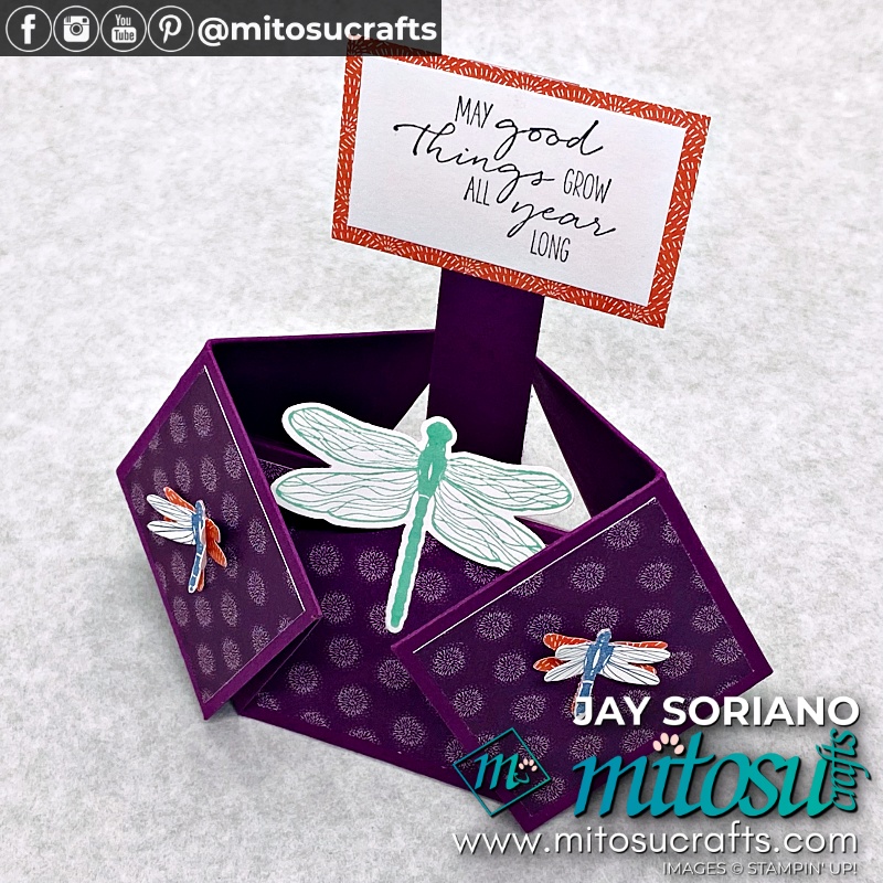 Double Diamond Dragonfly Garden Fancy Fold Card Idea from Mitosu Crafts UK by Barry Selwood & Jay Soriano Independent Stampin' Up! Demonstrators