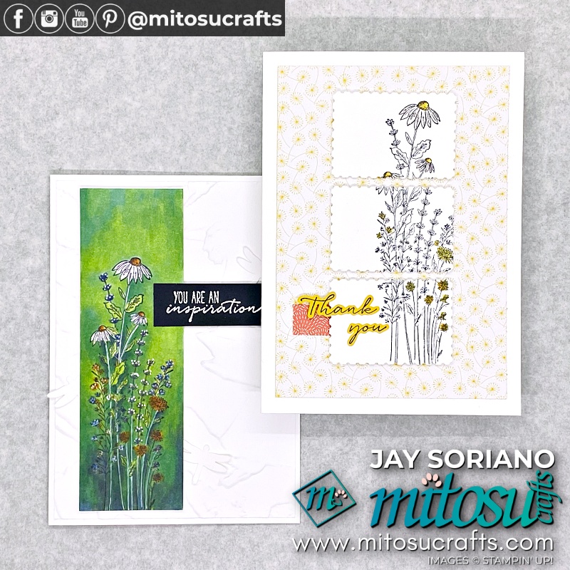 Dragonfly Garden Card Ideas from Mitosu Crafts UK by Barry Selwood & Jay Soriano Independent Stampin' Up! Demonstrators