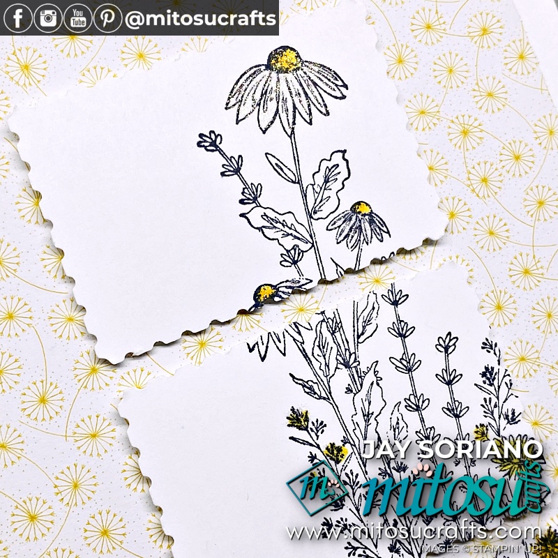 Casual Crafter Dragonfly Garden Card Idea from Mitosu Crafts UK by Barry Selwood & Jay Soriano Independent Stampin' Up! Demonstrators