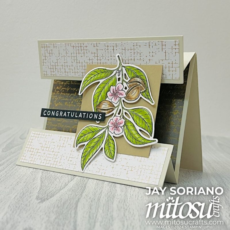 Floating Panel Fun Tent Fold Card Idea from Barry & Jay Soriano Mitosu Crafts Independent Stampin' Up! Demonstrators UK France Germany Austria Netherlands Belgium & Ireland