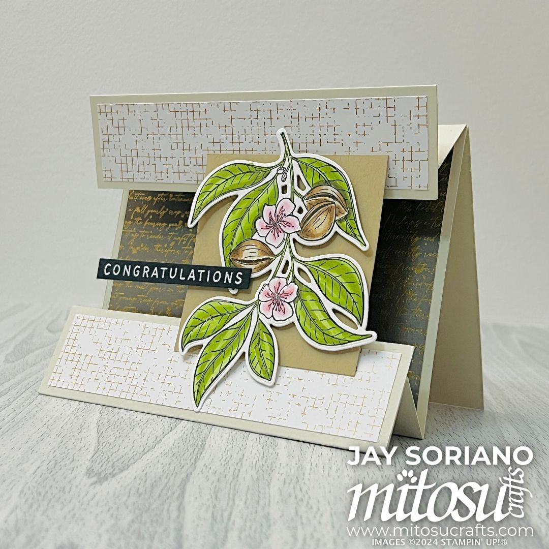 Floating Panel Fun Tent Fold Card for Stamping Sunday – Mitosu Crafts