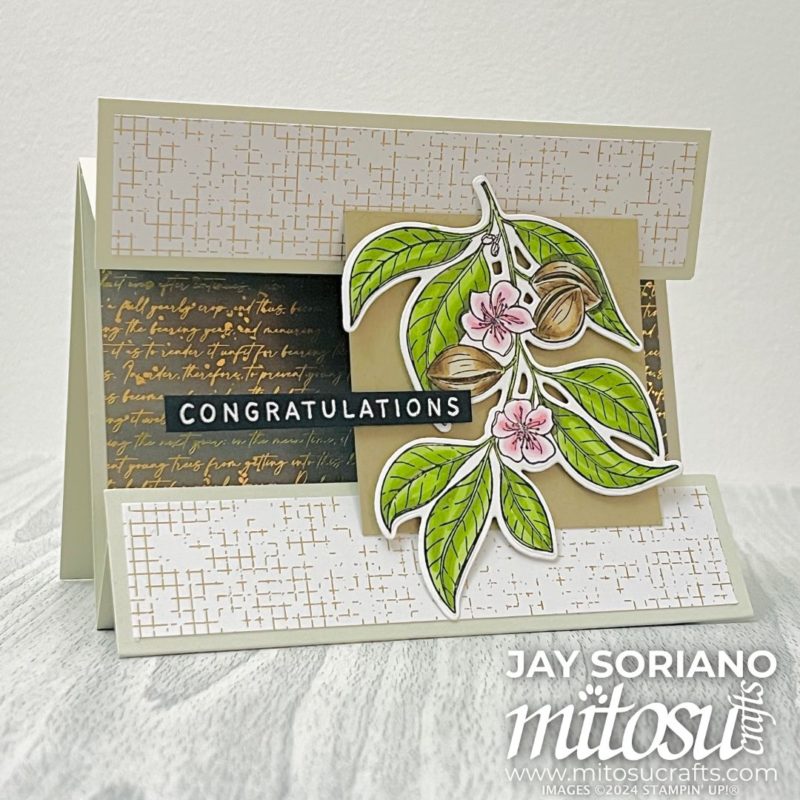 Floating Panel Fun Tent Fold Card Idea from Barry & Jay Soriano Mitosu Crafts Independent Stampin' Up! Demonstrators UK France Germany Austria Netherlands Belgium & Ireland