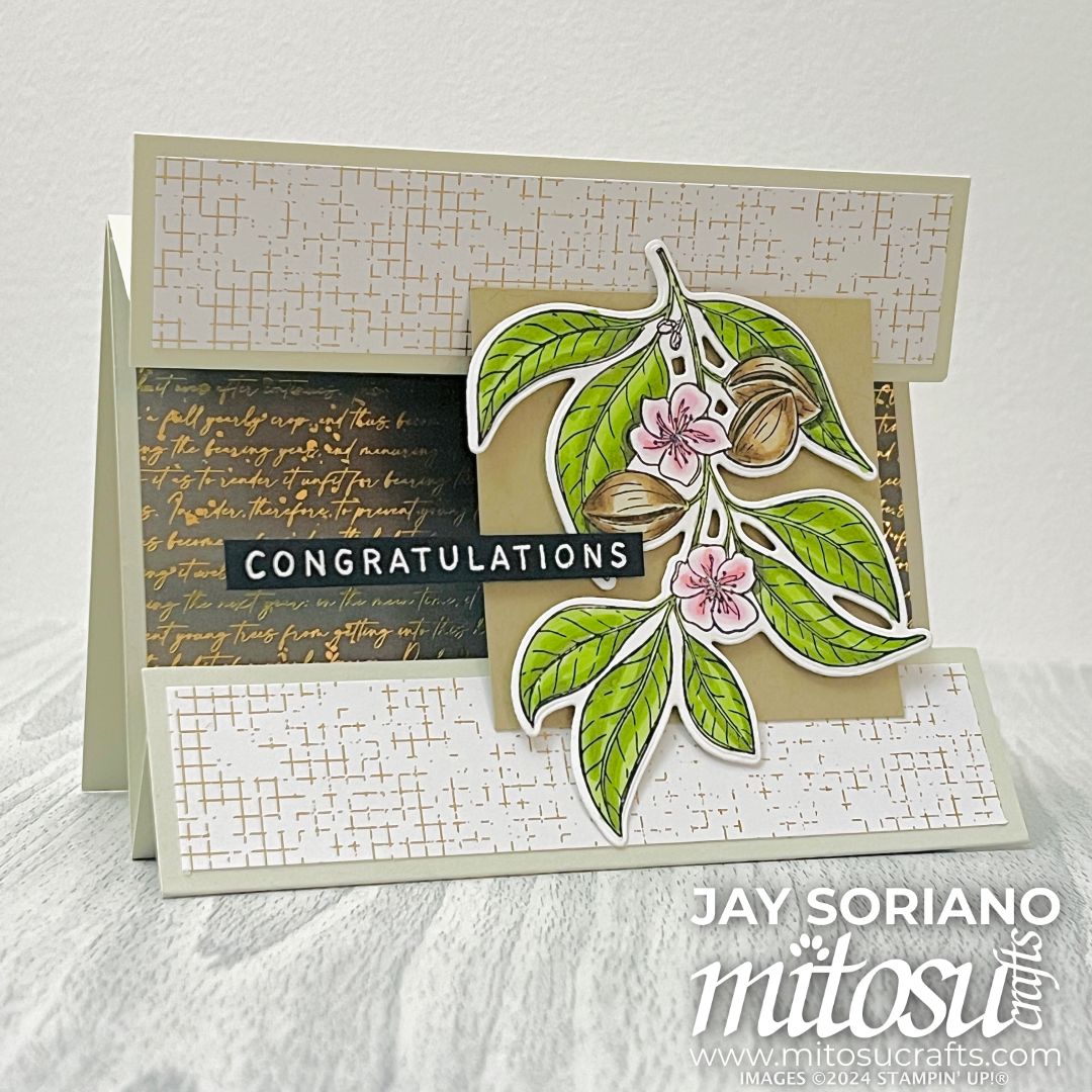Floating Panel Fun Tent Fold Card for Stamping Sunday – Mitosu Crafts