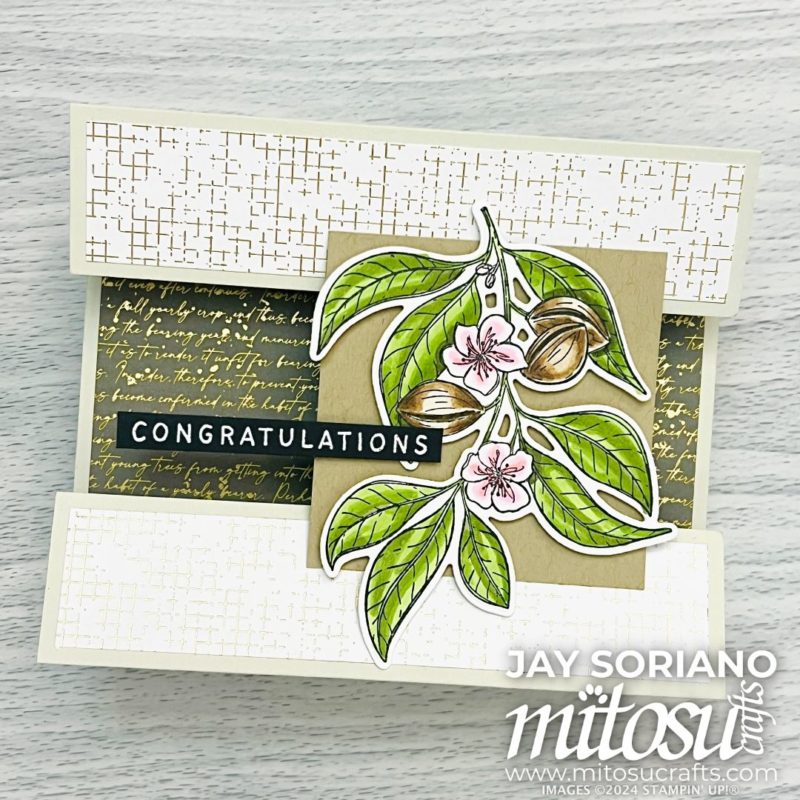 Floating Panel Fun Tent Fold Card Idea from Barry & Jay Soriano Mitosu Crafts Independent Stampin' Up! Demonstrators UK France Germany Austria Netherlands Belgium & Ireland