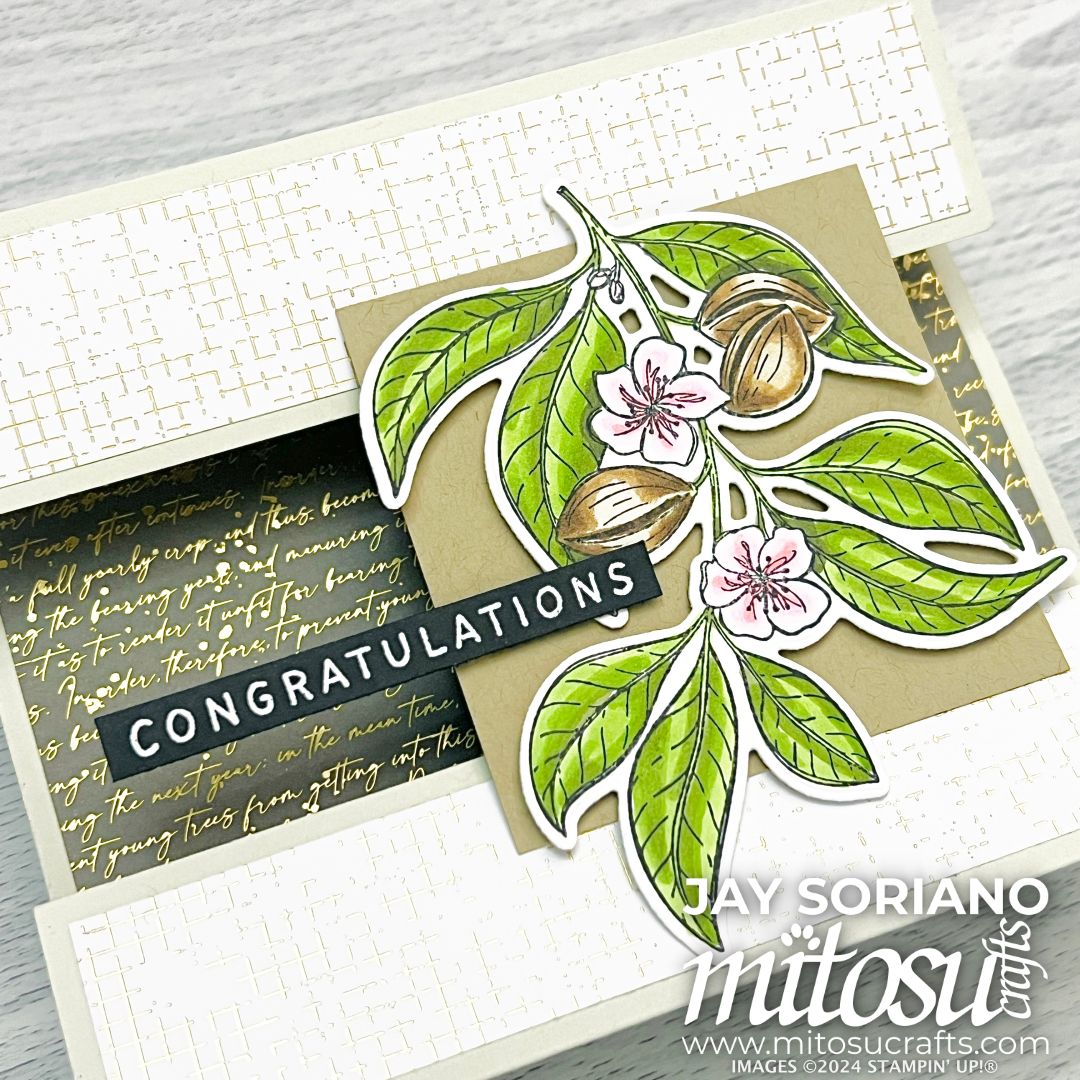 Floating Panel Fun Tent Fold Card for Stamping Sunday – Mitosu Crafts
