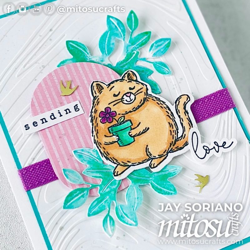 Fluffiest Friends In Color Cat Card Idea Mitosu Crafts by Barry & Jay Soriano Stampin' Up! UK France Germany Austria Netherlands Belgium Ireland