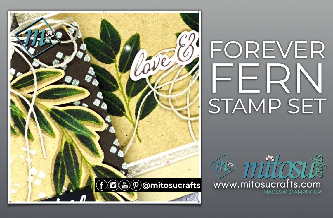 Stampin' Blends Colouring Forever Fern with Kraft and Embossing Paste Projects for Stamp Review Crew from Mitosu Crafts UK by Barry & Jay Soriano Stampin' Up! Demonstrators