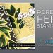 Stampin' Blends Colouring Forever Fern with Kraft and Embossing Paste Projects for Stamp Review Crew from Mitosu Crafts UK by Barry & Jay Soriano Stampin' Up! Demonstrators