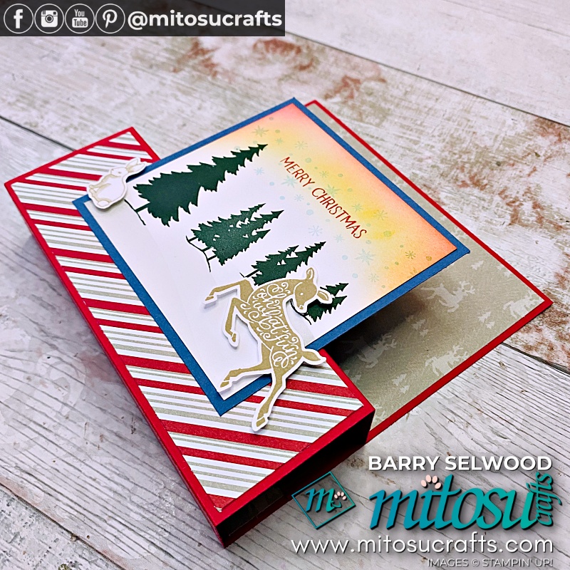 Front Panel Pop Out Card Video Tutotial | #funfoldfriday from Barry & Jay Soriano Mitosu Crafts Independent Stampin Up Demonstrators UK