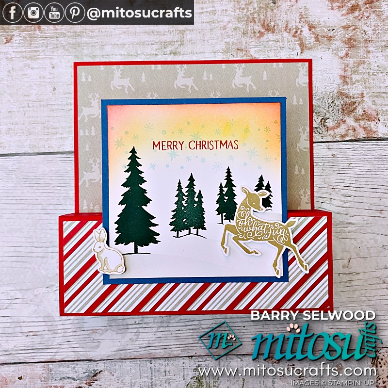 Front Panel Pop Out Card Video Tutotial | #funfoldfriday from Barry & Jay Soriano Mitosu Crafts Independent Stampin Up Demonstrators UK